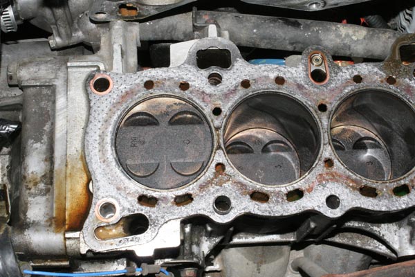 Name:  IMG_6227.jpg
Views: 566
Size:  85.0 KB