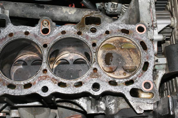 Name:  IMG_6226.jpg
Views: 490
Size:  89.3 KB