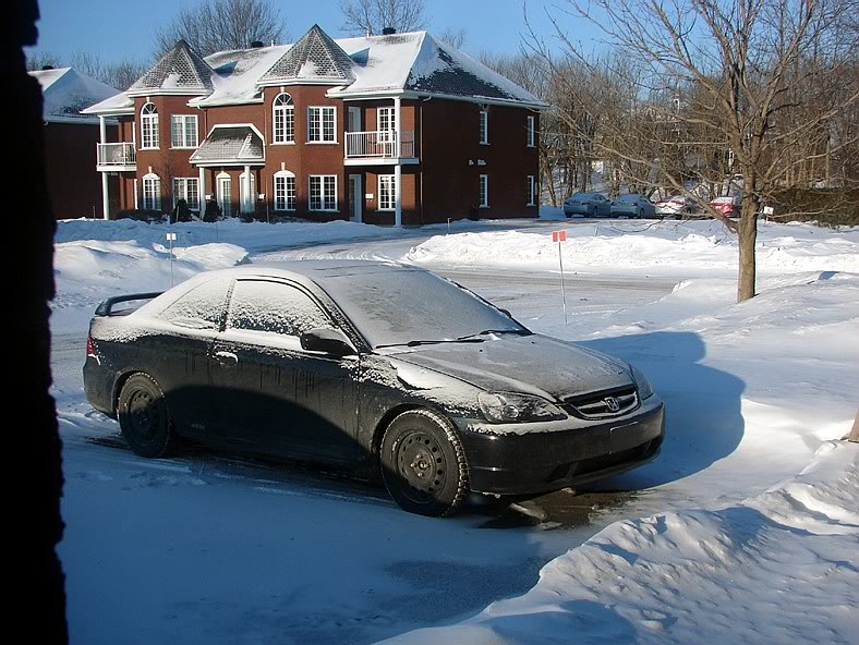 Name: DSC06507s.jpg
Views: 974
Size: 121.9 KB