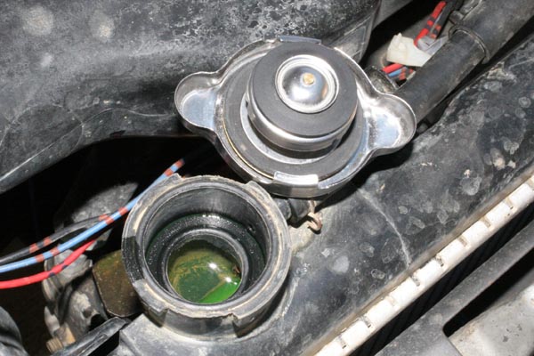 Name:  IMG_6223.jpg
Views: 23
Size:  76.2 KB