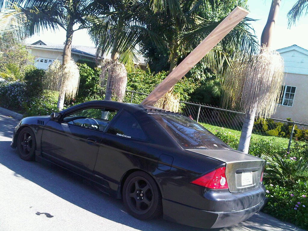 Name:  56520_640009778262_658491_o.jpg
Views: 8
Size:  231.0 KB