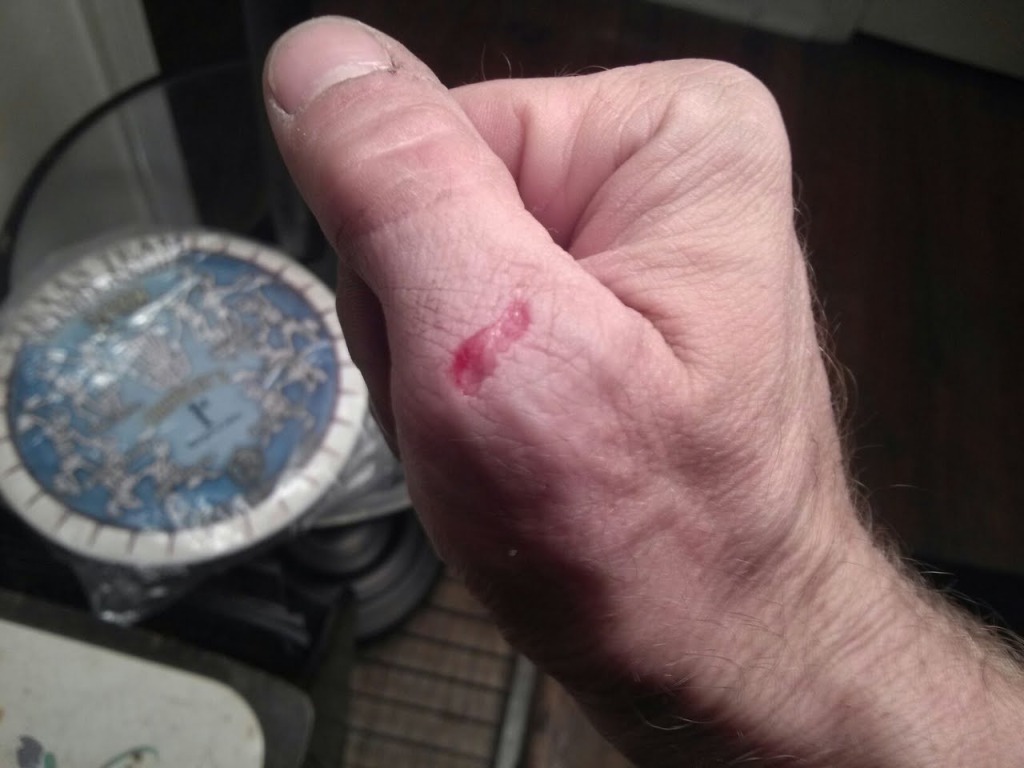 Name:  handgouge.jpg
Views: 69
Size:  111.2 KB