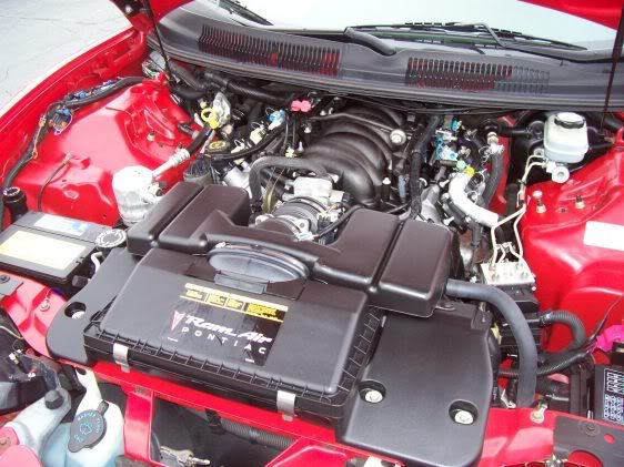 Name:  13961338728268854271IM126565x421_A5.jpg
Views: 172
Size:  59.2 KB