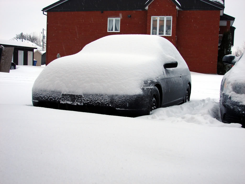 Name:  DSC08585.jpg
Views: 388
Size:  98.0 KB