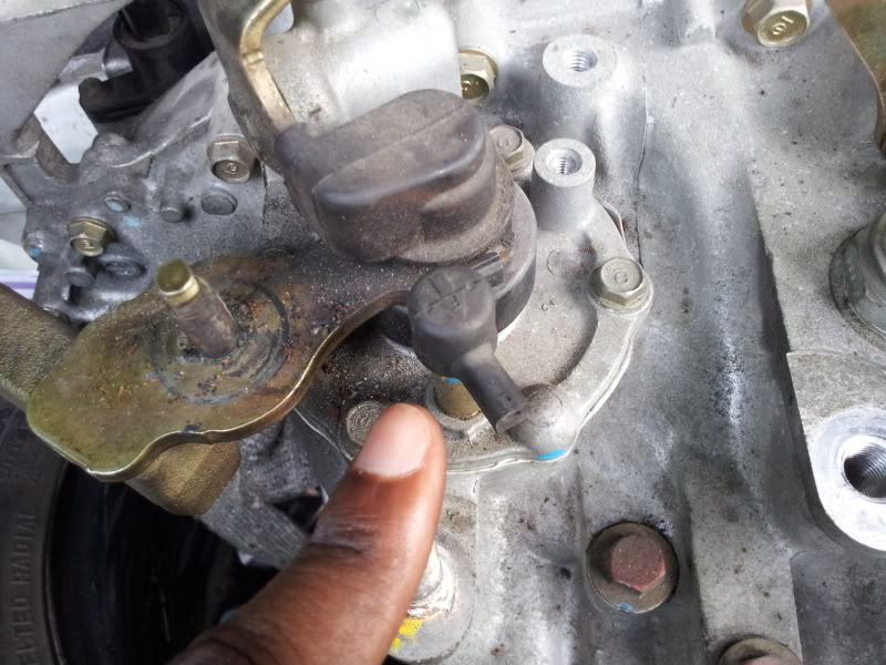 Name:  2012-07-28174126.jpg
Views: 2190
Size:  96.6 KB