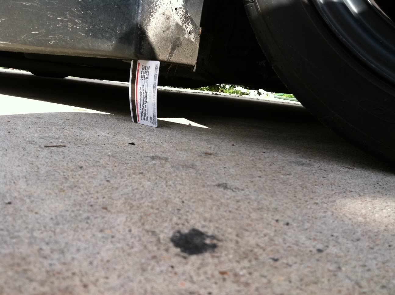 Name:  photo-2.jpg
Views: 904
Size:  206.6 KB