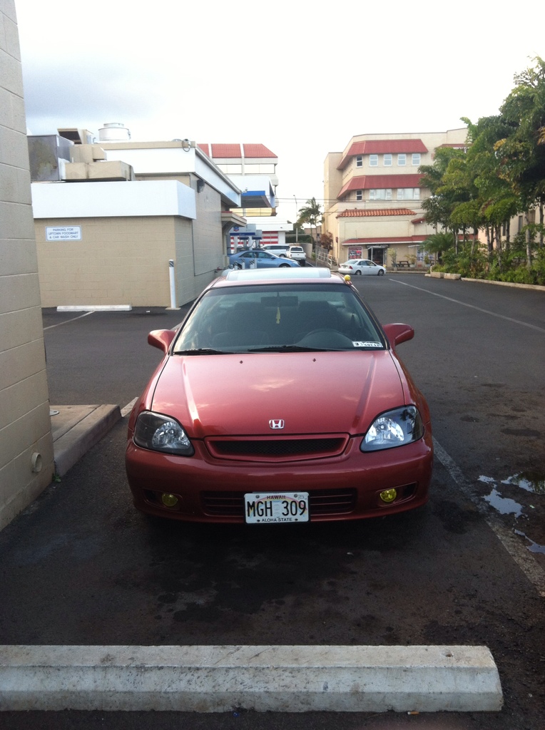 Name:  0e4aef19.jpg
Views: 14
Size:  260.5 KB