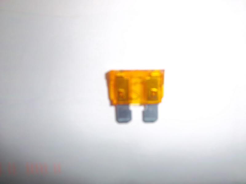 Name:  100_3176.jpg
Views: 700
Size:  12.7 KB