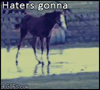 Name:  Haters-horse-ice.gif
Views: 58
Size:  956.9 KB