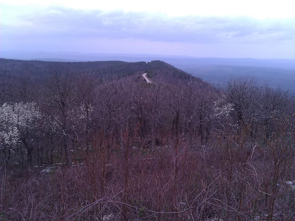 Name:  WP_000042.jpg
Views: 22
Size:  184.7 KB