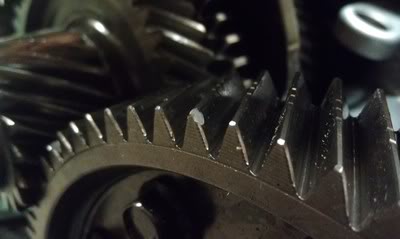Name: IMAG0564.jpg
Views: 442
Size: 13.4 KB
