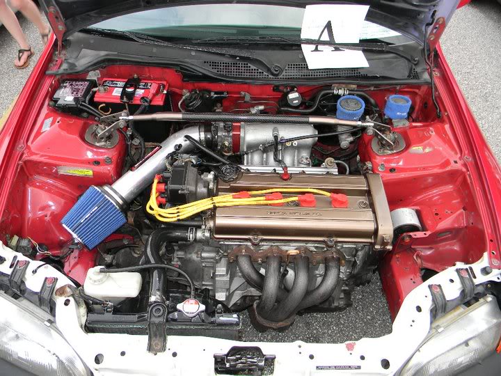 Name:  282017_2281605960873_1270533766_32850380_2342978_n.jpg
Views: 32
Size:  106.2 KB