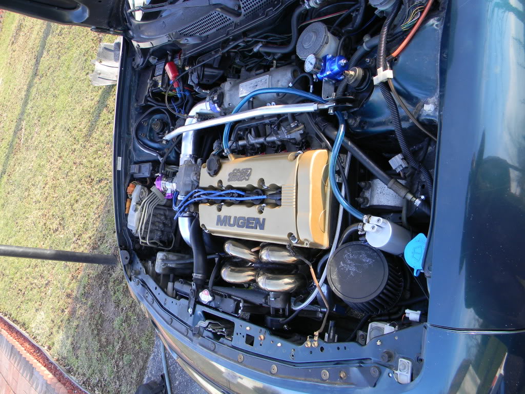 Name:  DSCN1052.jpg
Views: 25
Size:  230.3 KB