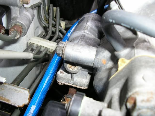 Name:  PA210050.jpg
Views: 68
Size:  58.6 KB