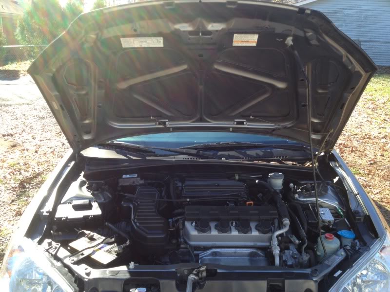 Name:  photo2-1.jpg
Views: 519
Size:  93.2 KB