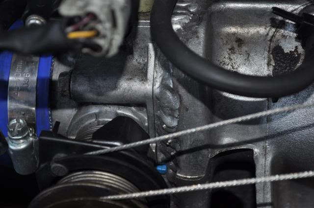 Name:  DSC_0469.jpg
Views: 646
Size:  37.5 KB