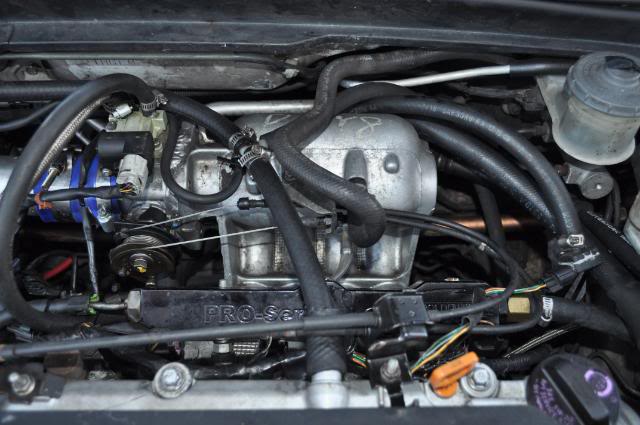 Name:  DSC_0467-1.jpg
Views: 686
Size:  48.1 KB