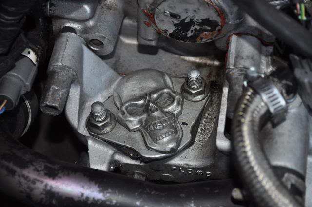 Name:  DSC_0464.jpg
Views: 629
Size:  37.6 KB