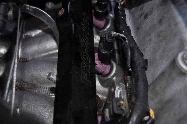 Name:  DSC_0463.jpg
Views: 724
Size:  30.2 KB