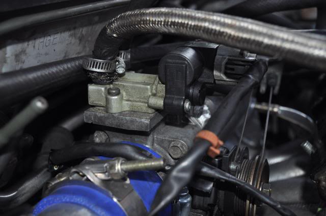 Name:  DSC_0462-1.jpg
Views: 673
Size:  34.5 KB