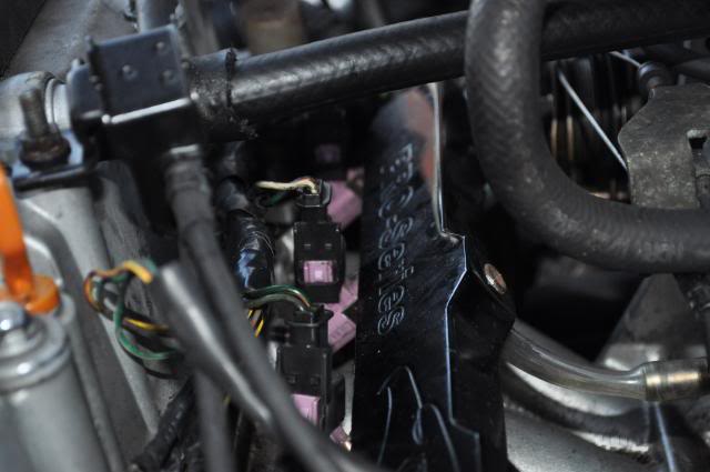 Name:  DSC_0460-1.jpg
Views: 608
Size:  33.2 KB