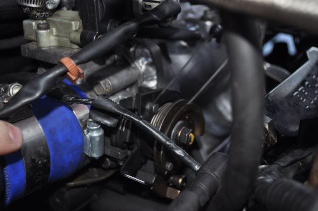 Name:  DSC_0461.jpg
Views: 623
Size:  30.0 KB