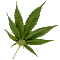 Name:  weed.gif
Views: 61
Size:  32.5 KB