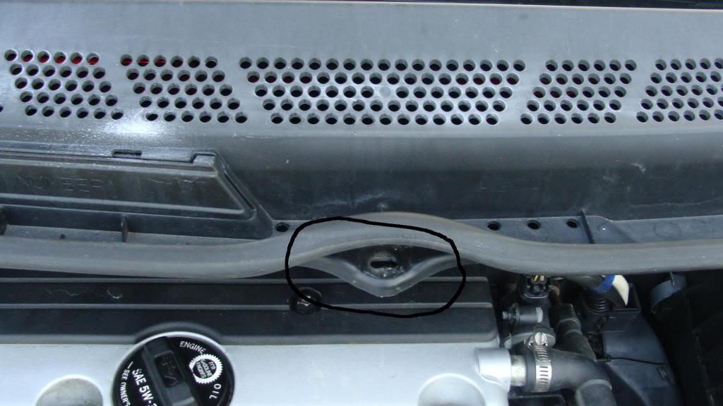 Name:  DSC01607-1.jpg
Views: 1987
Size:  80.2 KB