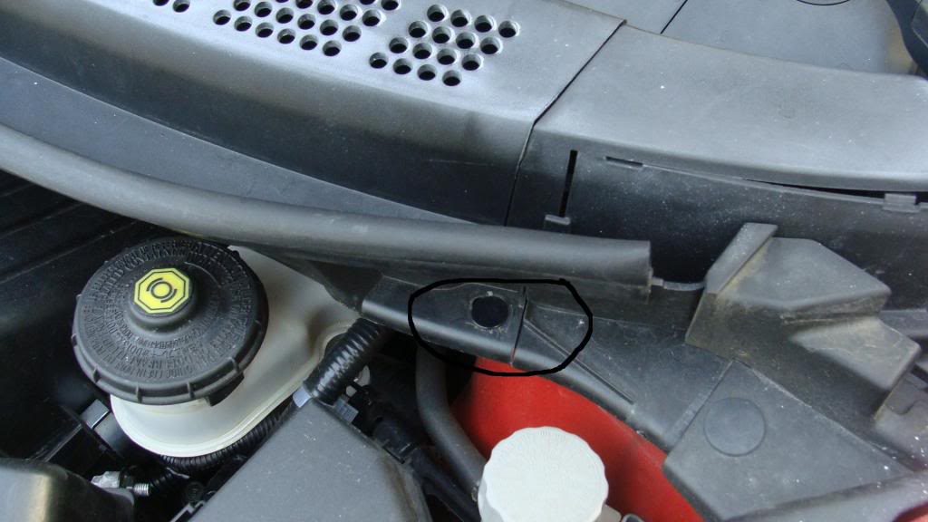 Name:  DSC01608-1.jpg
Views: 1950
Size:  72.5 KB