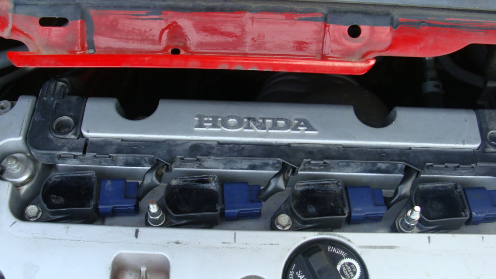 Name:  DSC01623.jpg
Views: 1892
Size:  122.2 KB