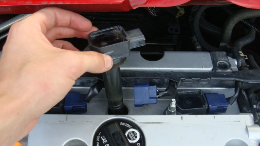 Name:  DSC01625.jpg
Views: 1912
Size:  79.1 KB