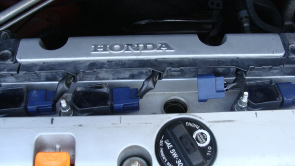 Name:  DSC01626.jpg
Views: 1879
Size:  75.1 KB