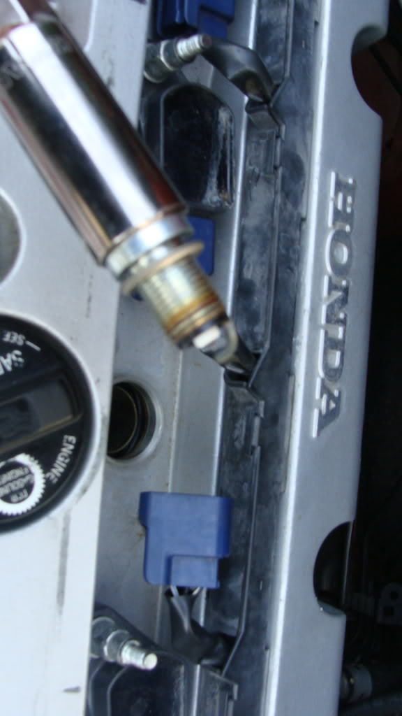 Name:  DSC01627.jpg
Views: 1922
Size:  77.4 KB