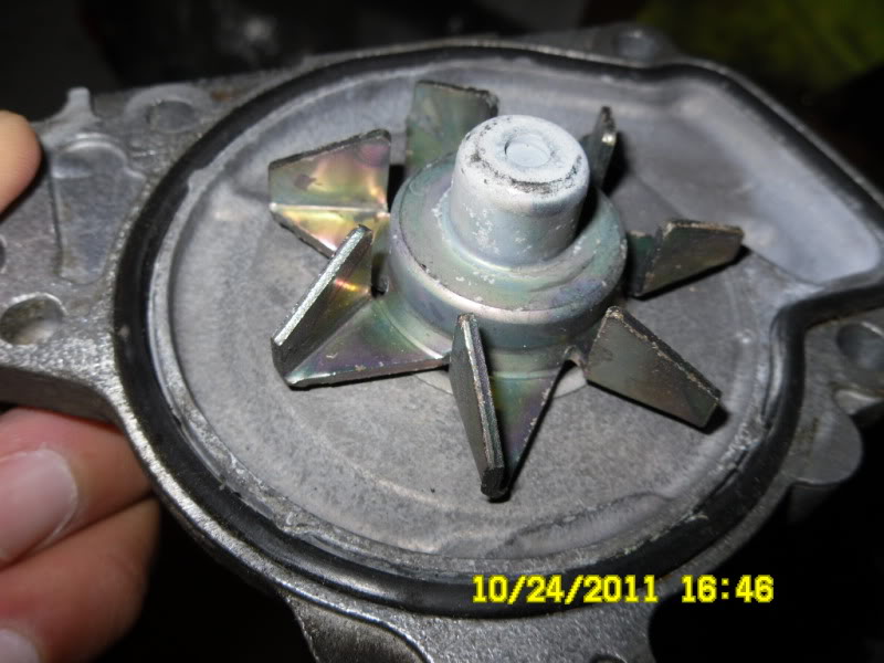 Name:  SAM_1423.jpg
Views: 814
Size:  70.5 KB