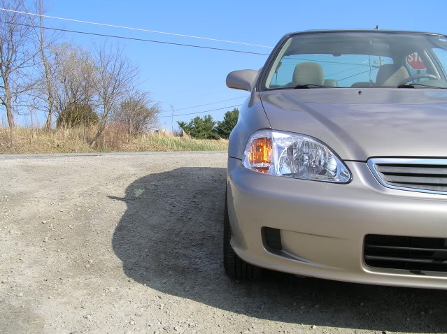 Name:  P4110096.jpg
Views: 110
Size:  74.9 KB