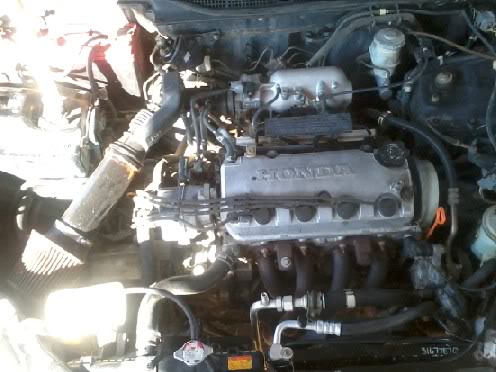 Name:  stock.jpg
Views: 20
Size:  42.6 KB