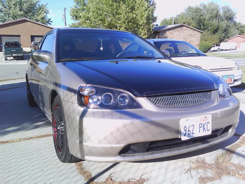 Name:  309807_1794976533903_1824398087_1212329_1609809052_n.jpg
Views: 216
Size:  161.3 KB