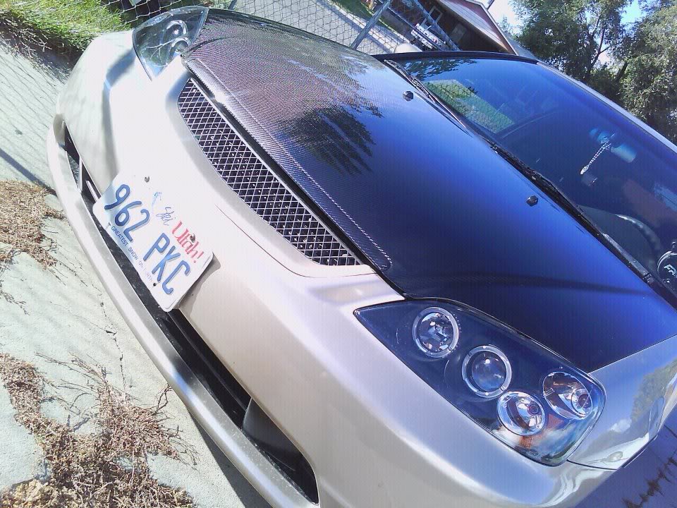 Name:  313862_1794968613705_1824398087_1212320_1232915042_n.jpg
Views: 231
Size:  171.9 KB