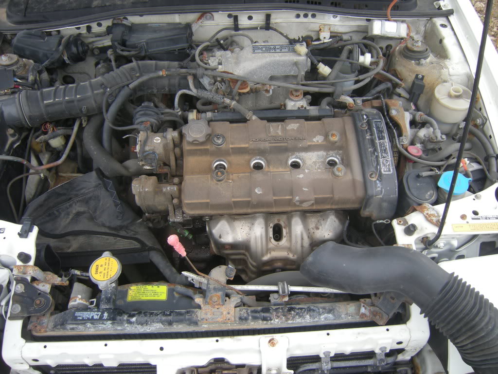 Name:  146.jpg
Views: 121
Size:  144.0 KB