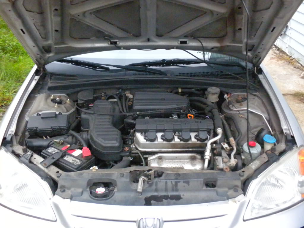 Name:  DSCN0765.jpg
Views: 1371
Size:  125.2 KB