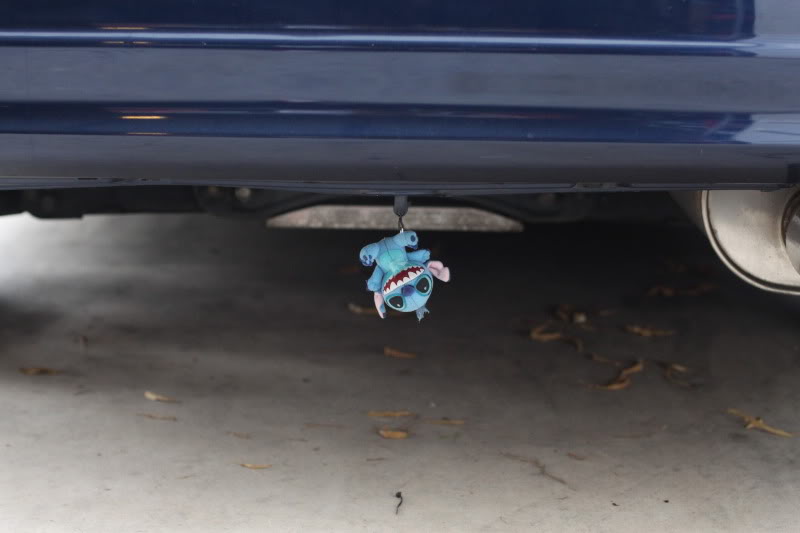 Name:  IMG_4631.jpg
Views: 26
Size:  30.9 KB