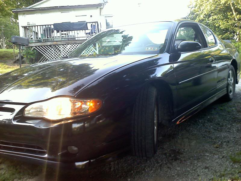 Name:  monte4.jpg
Views: 108
Size:  79.6 KB