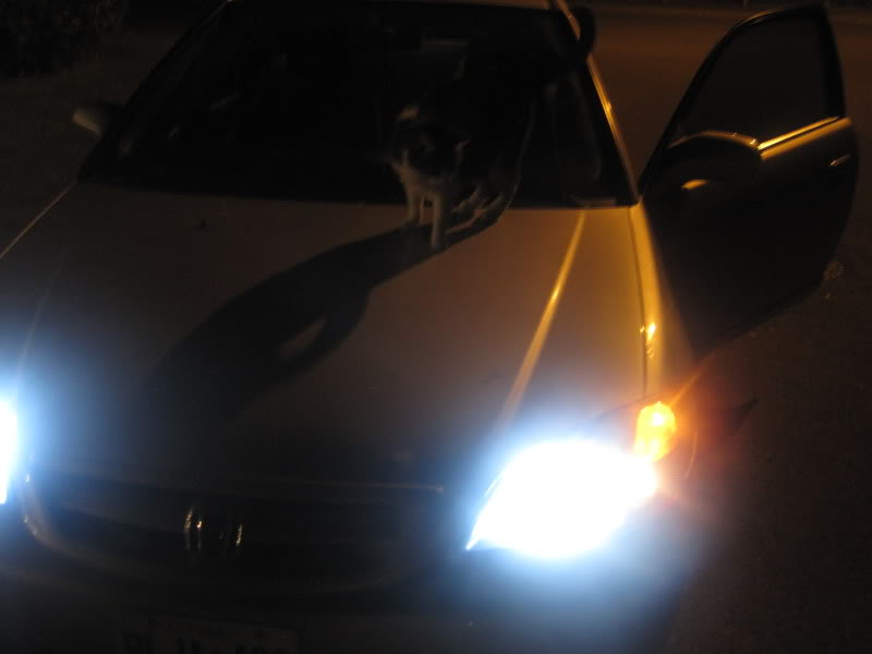 Name:  IMG_6624.jpg
Views: 44
Size:  27.5 KB