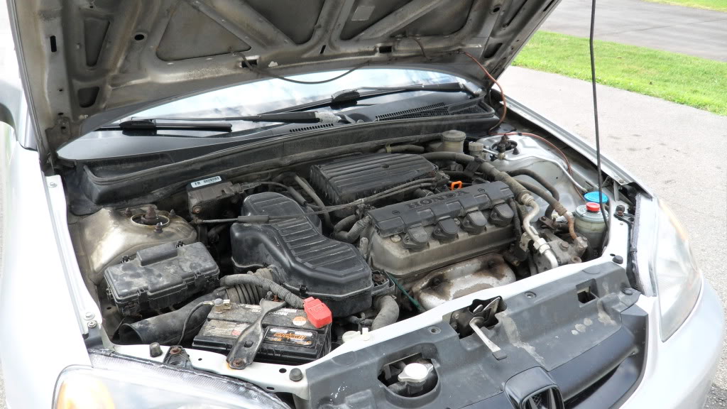 Name:  SAM_0324.jpg
Views: 260
Size:  125.5 KB