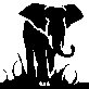 Elephant's Avatar
