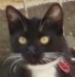 ironrat's Avatar