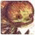 LevaHegohog's Avatar